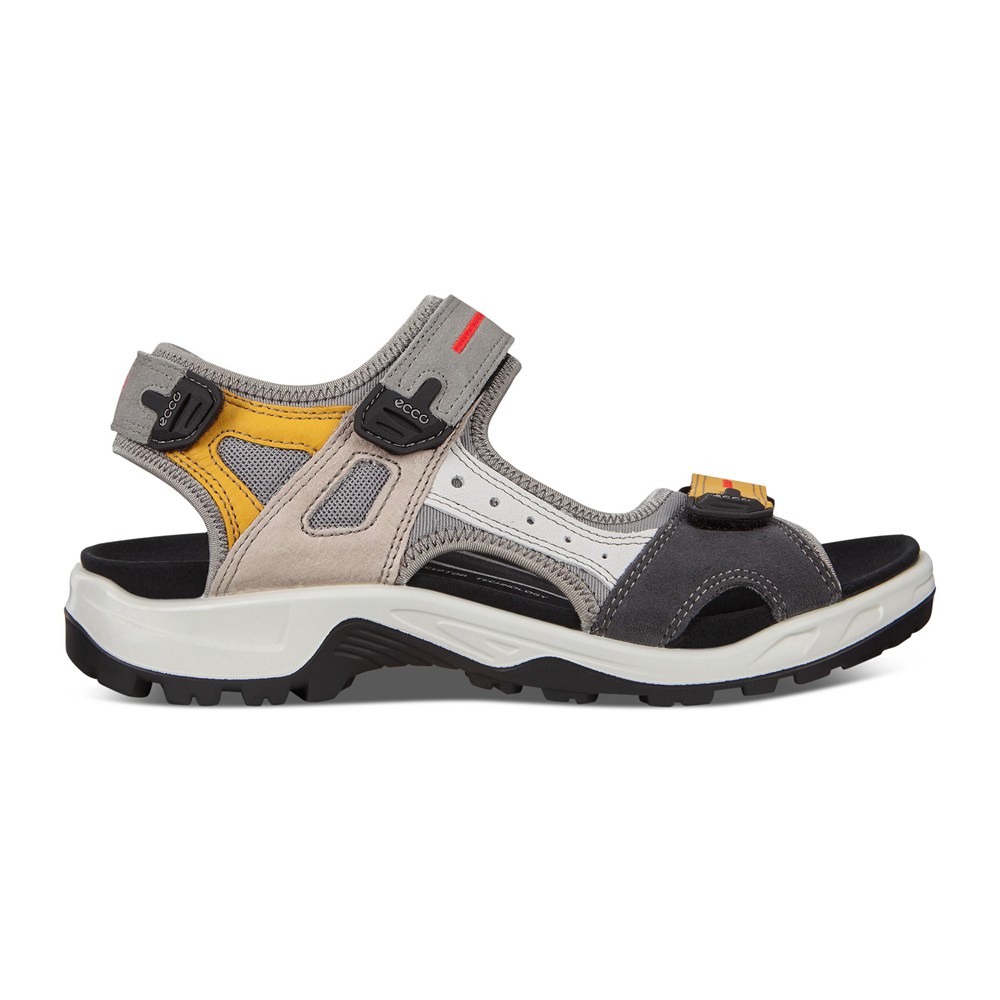 ECCO Mens Sandals Multicolor - Anniversary Yucatan - RGA-381756